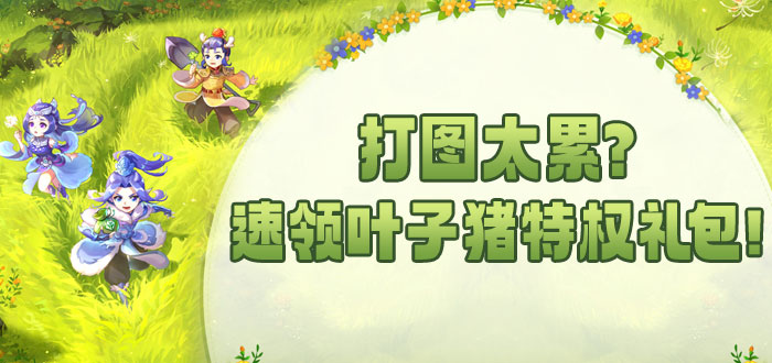 梦幻西游电脑版礼包
